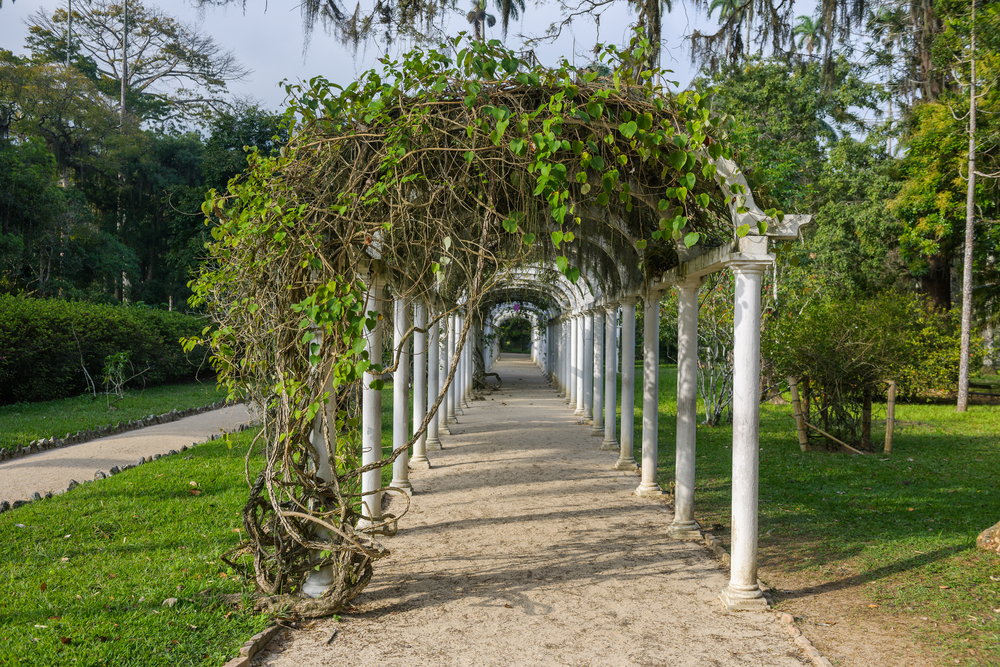 Jardín Botánico de Río de Janeiro