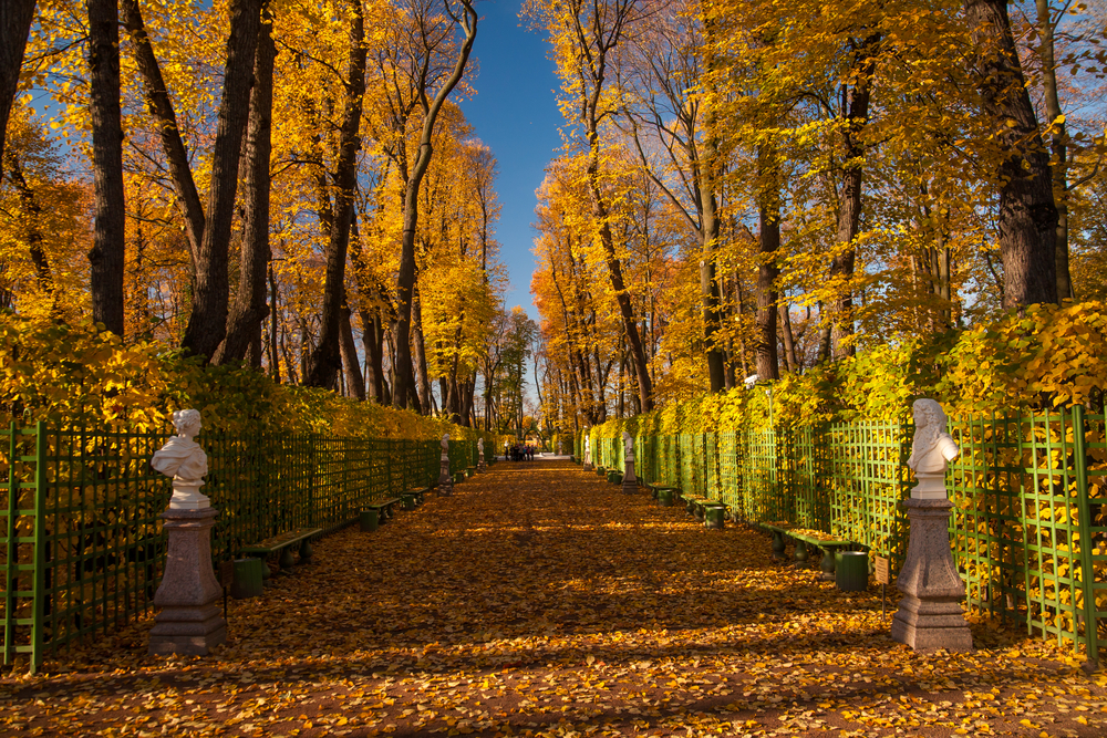 Jardín de Verano, en San Petersburgo 