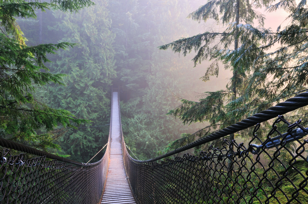 Puente Suspendido en el Lynn Canyon Park