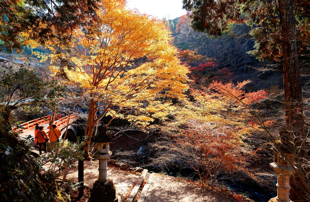 Monte Takao - Tokio