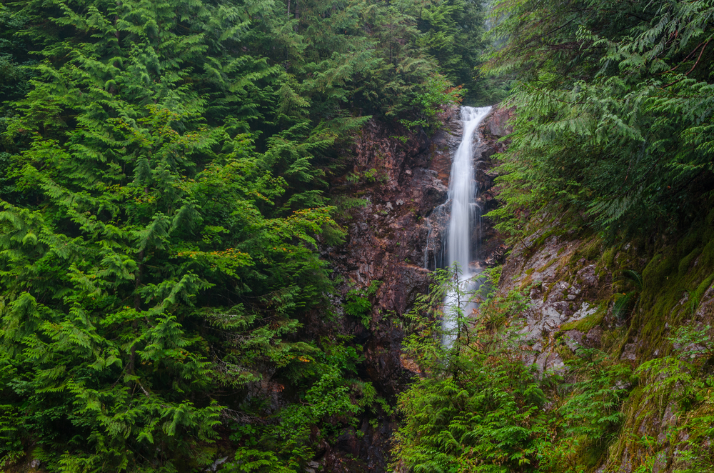 Vistas a las Norvan Falls en el Lynn Canyon Park