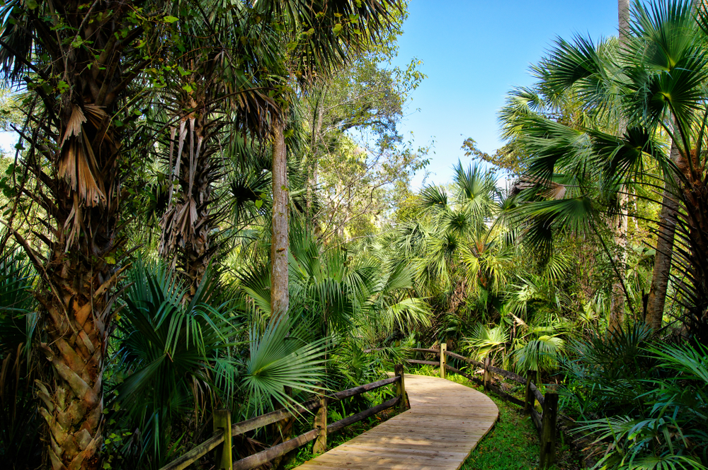 Ocala National Forest - Florida