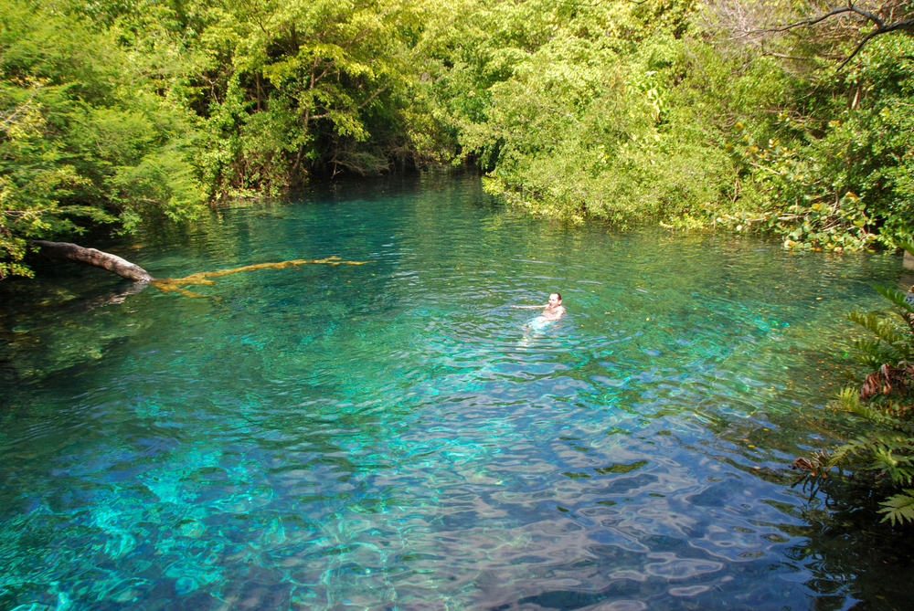 Reserva Ojos Indígenas