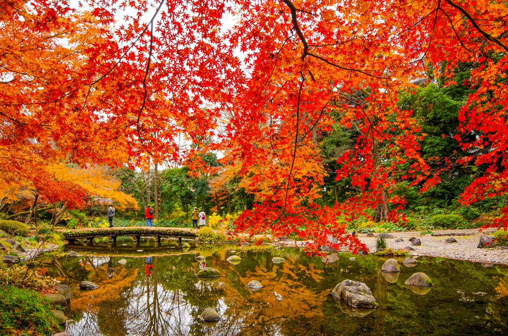 Otoño en el Jardín Koishikawa Korakuen