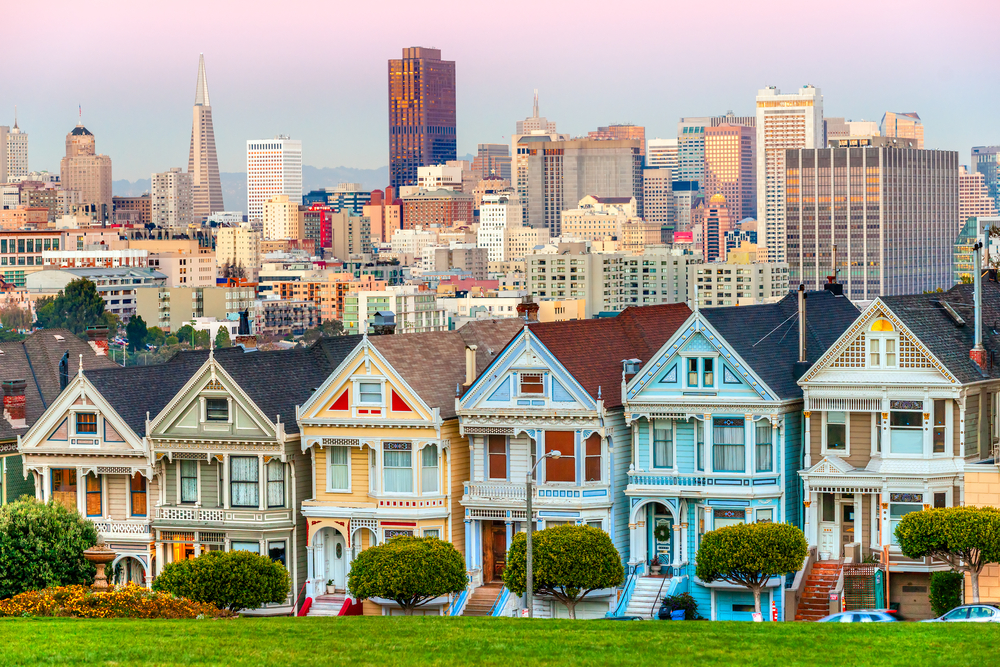 Painted Ladies