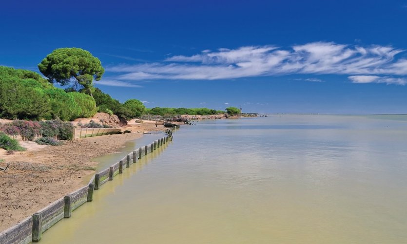 Parque Doñana