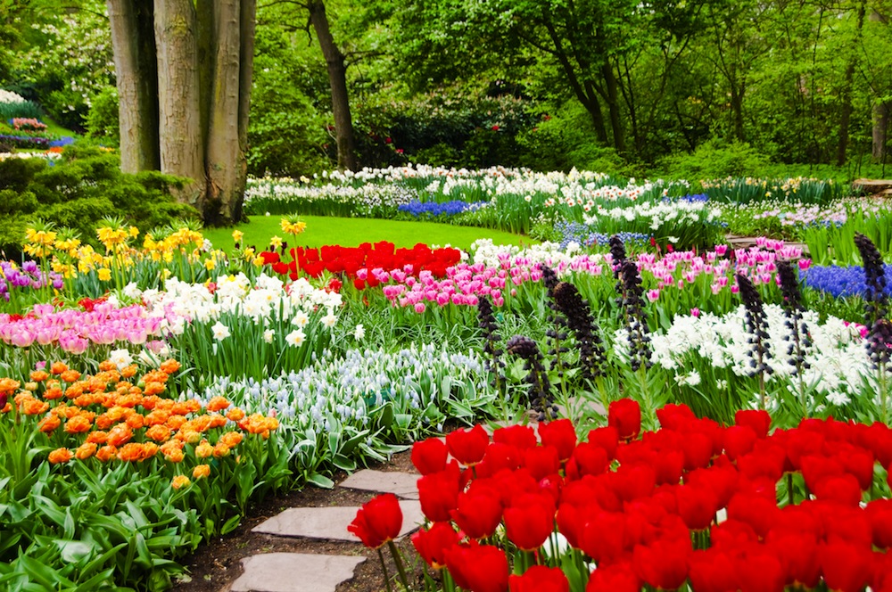 parque keukenhof