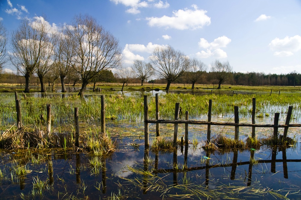 parque nacional kampinos