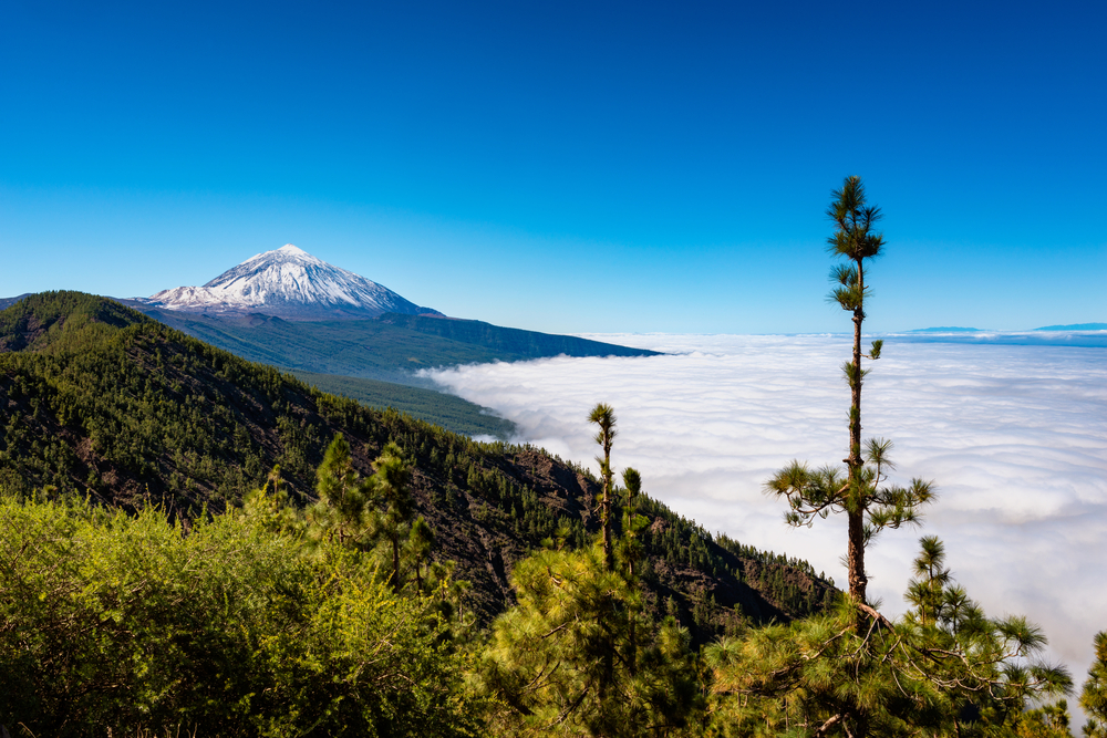 Vistas en el Parque Nacional Teide, en Tenerife