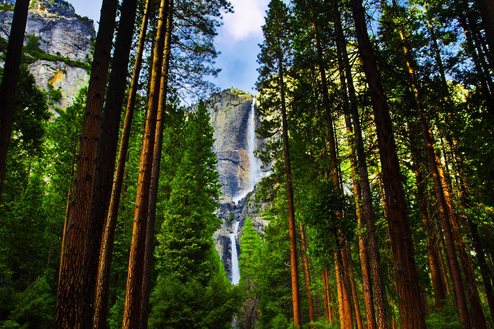 parque nacional yosemite