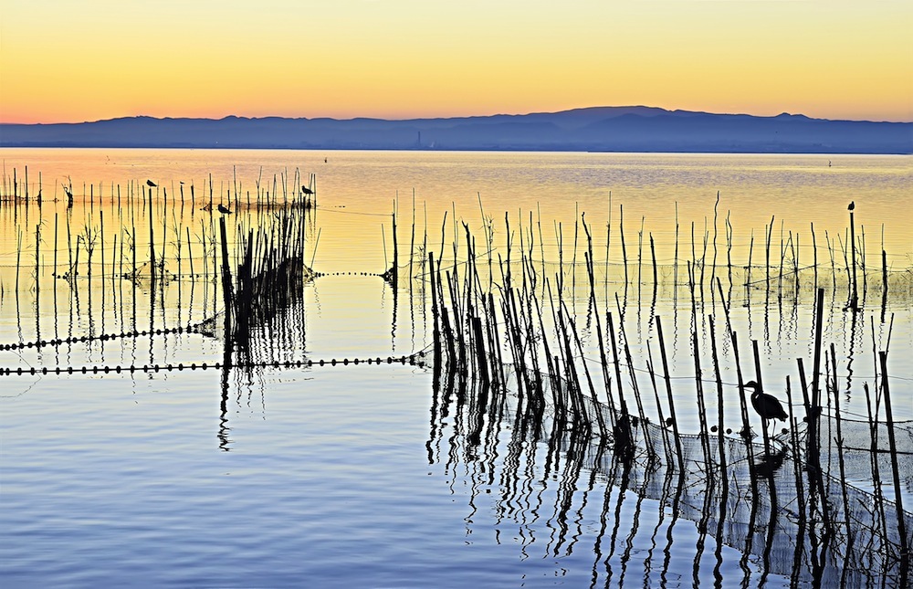 parque natural albufera