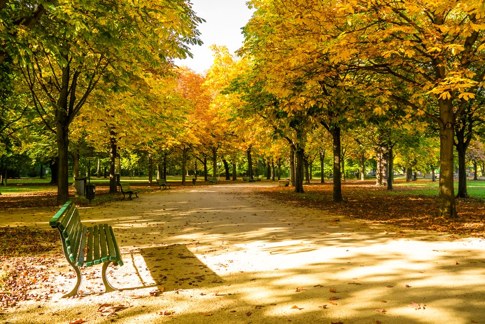 parque tiergarten