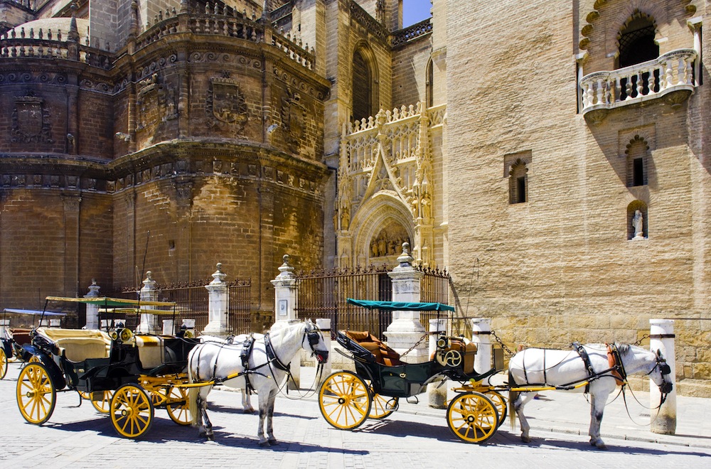 paseo caballo sevilla