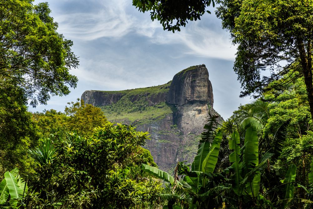 Pedra da Gavea, Parque Tijuca
