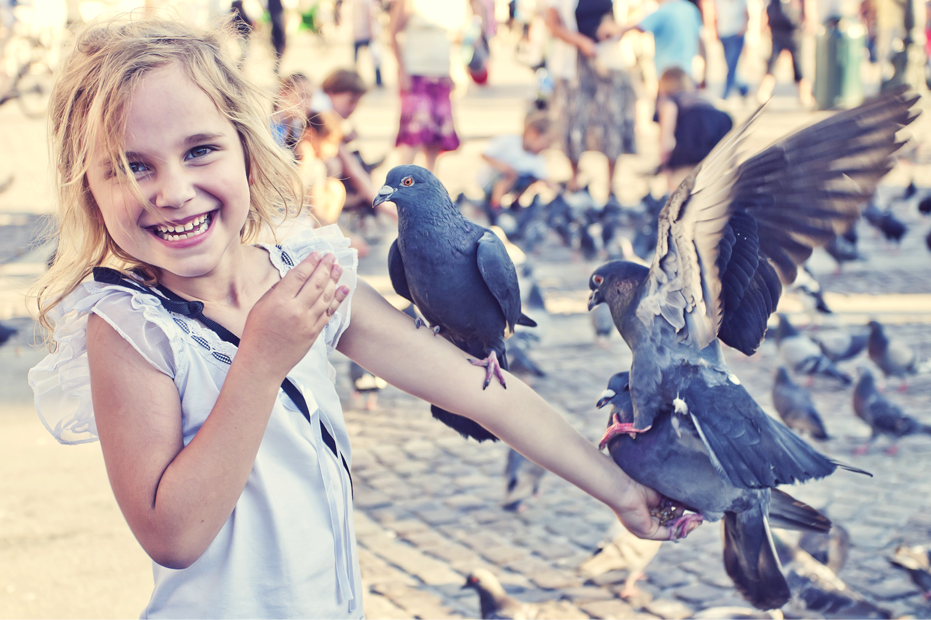 Plaza del Mercado - Cracovia con niños