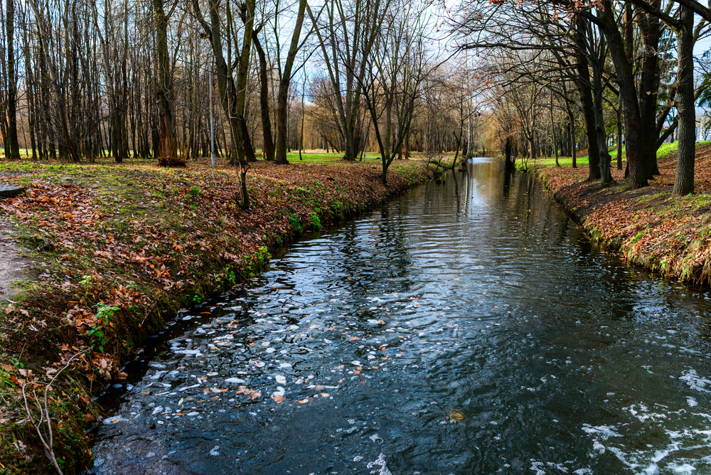 Prospect Park