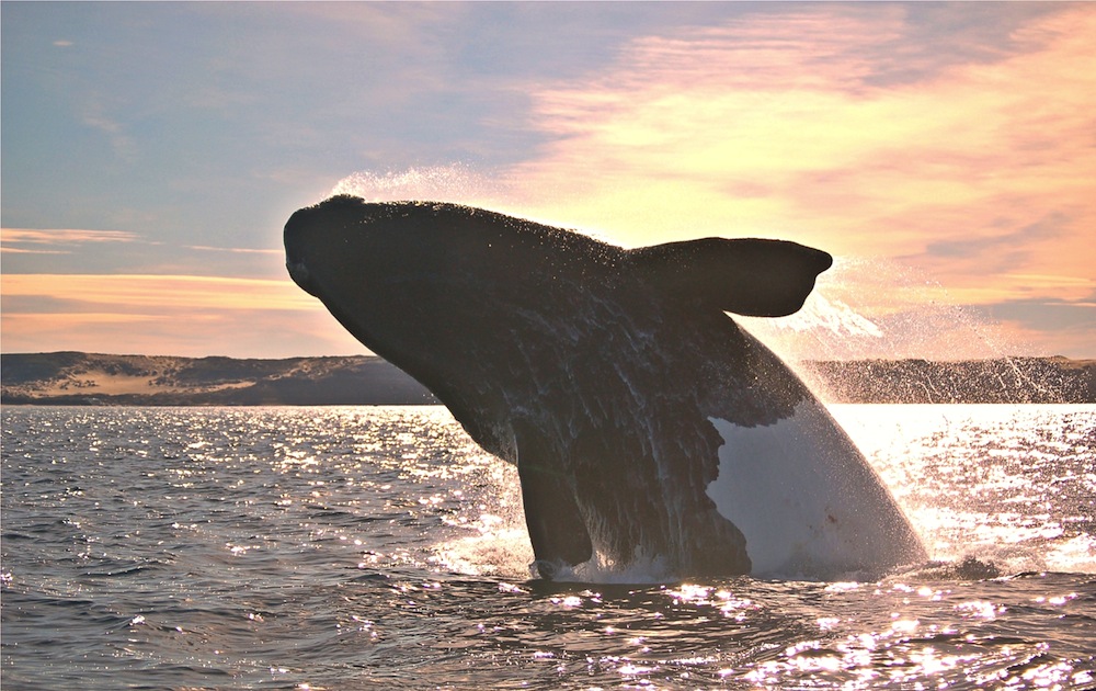 puerto madryn