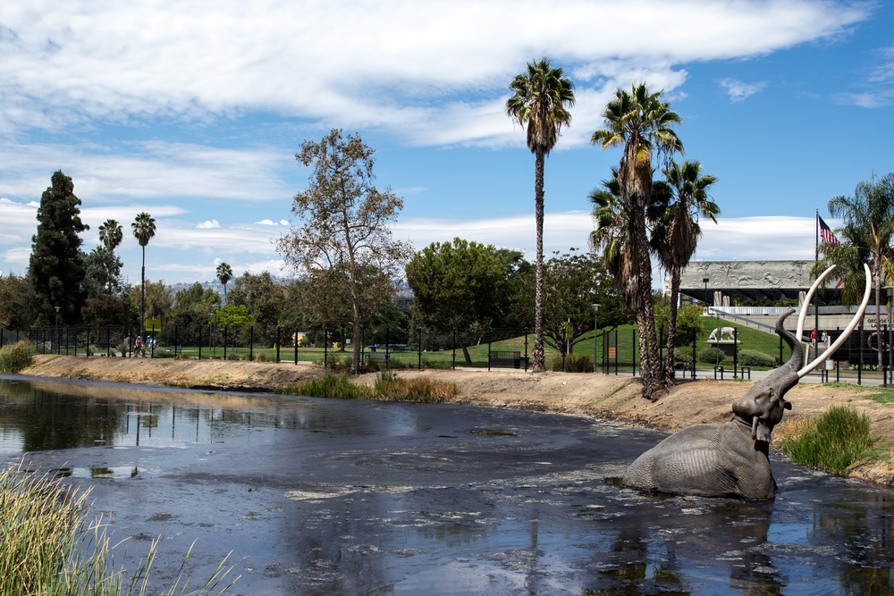 Rancho La Brea