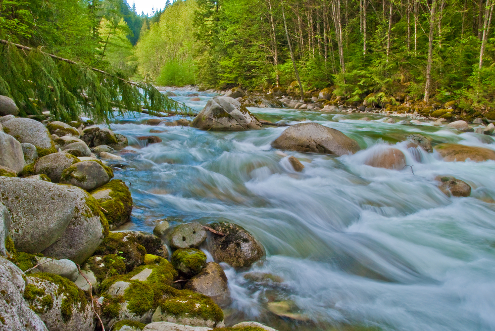 Río en Lynn Canyon Park