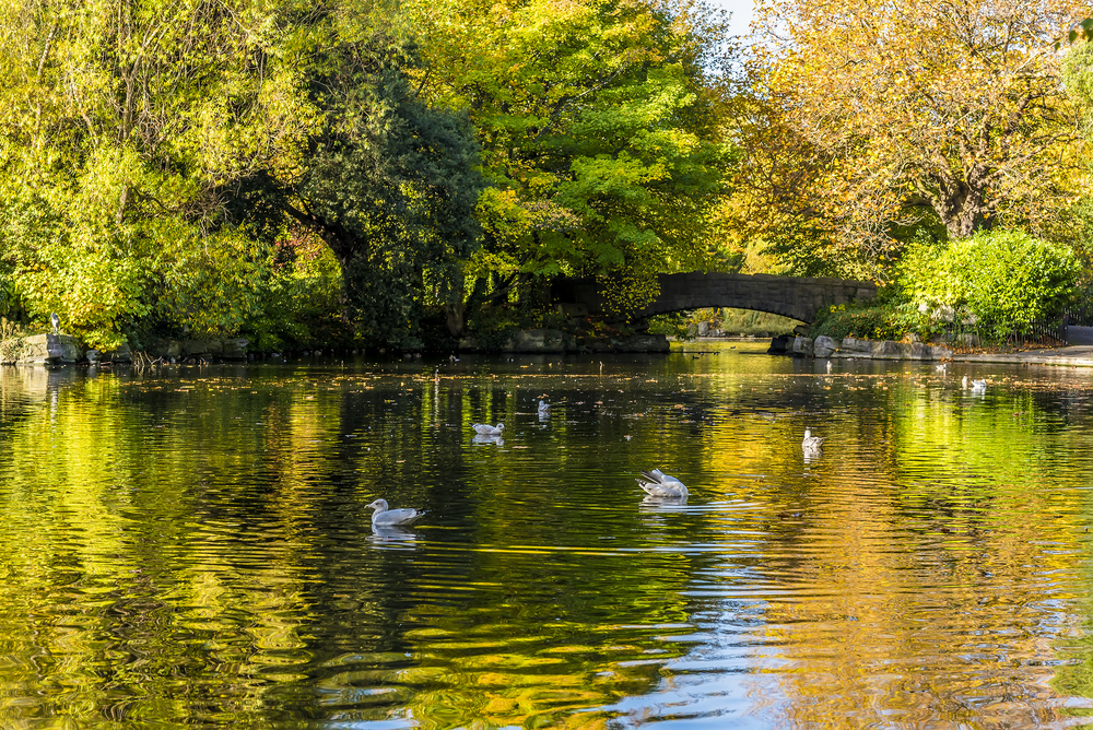 St. Stephens Green, Dubín