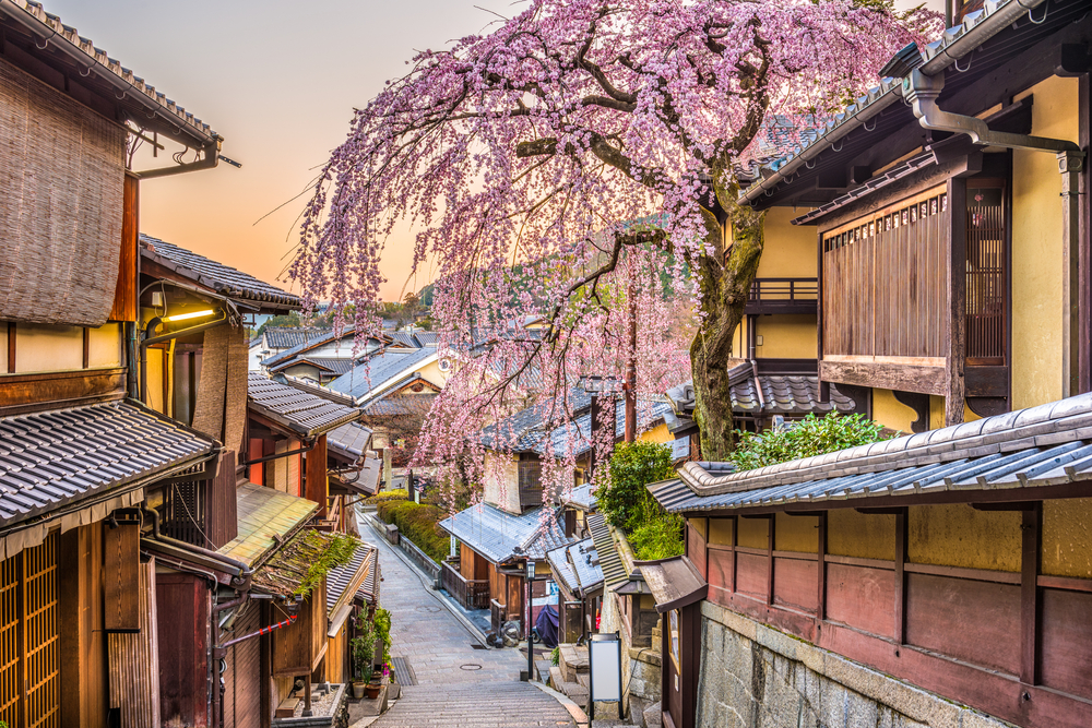 Hanami en el barrio Higashiyama - Kioto