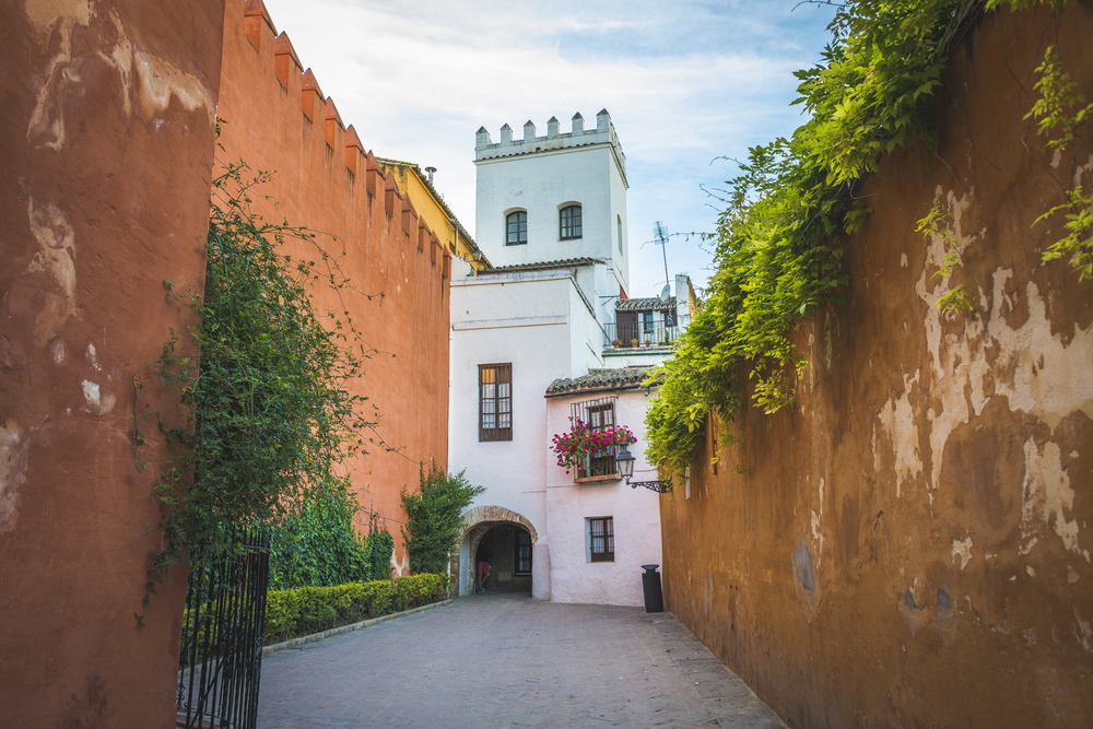 Barrio Santa Cruz - Sevilla