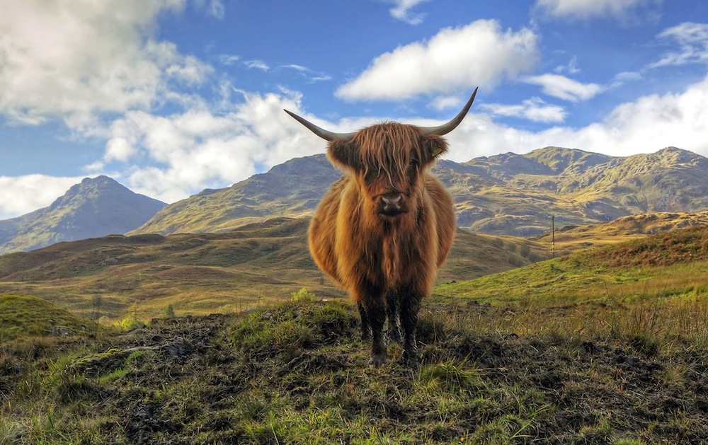 scotland highlands