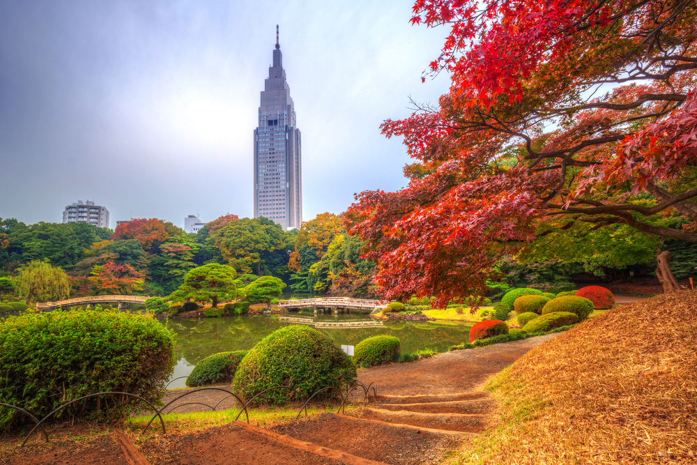 Shinjuku - Tokio