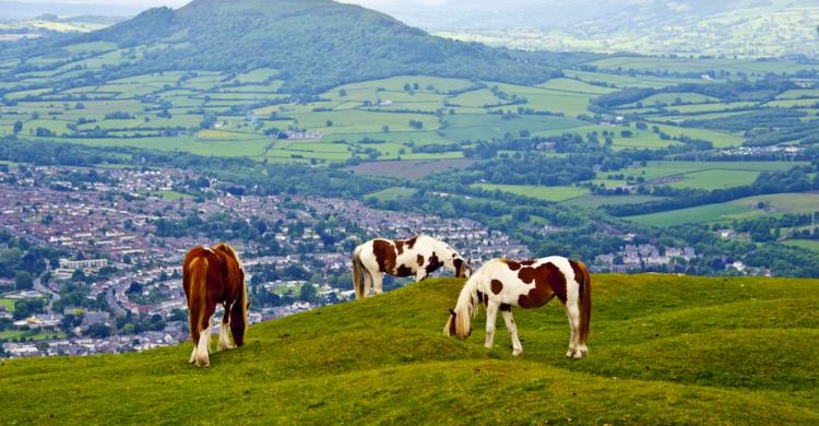 Brecon Beacons