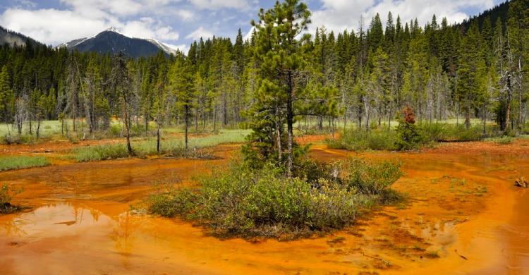 Parque Nacional Kootenay