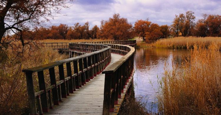 Parque Nacional Tablas Daimiel