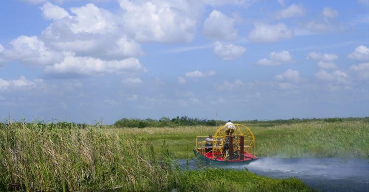 Pantanos de Everglades