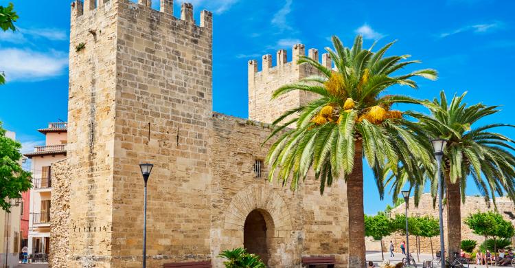 Castillo de Alcudia
