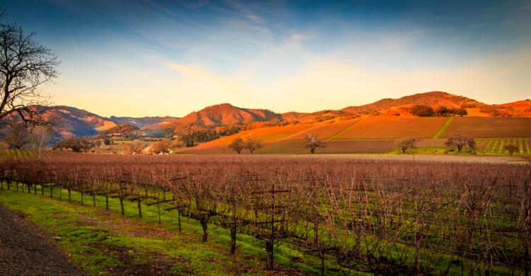 Atardecer en el Valle de Sonoma