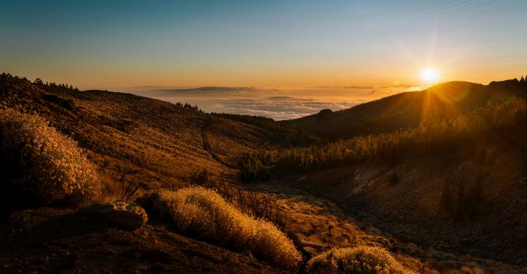 Parque Nacional del Teide