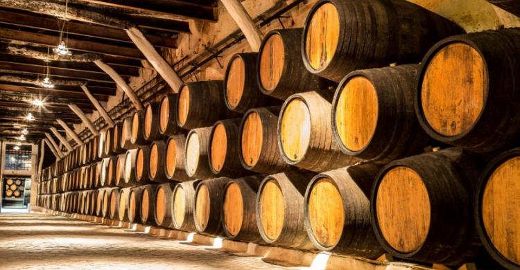 Visitando una bodega con cata de vinos