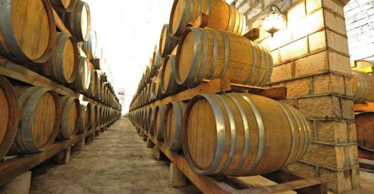 Visita a bodegas 