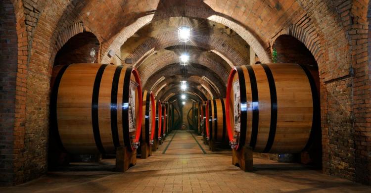 Bodega de vino en Montepulciano