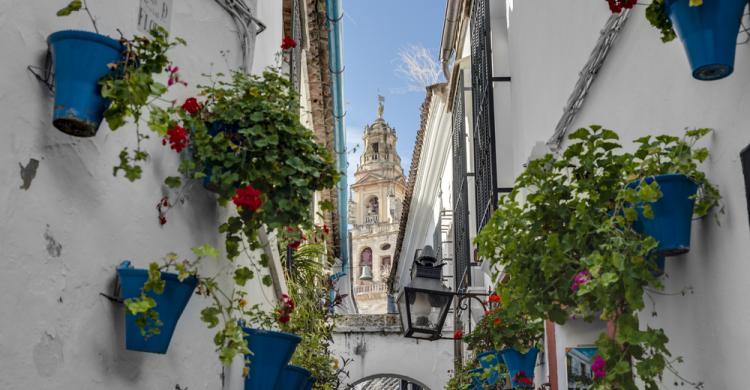 Calle Flores, Córdoba