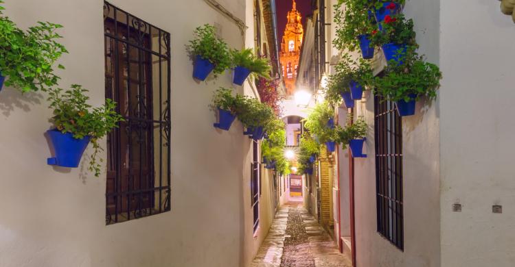 Calleja de las Flores 