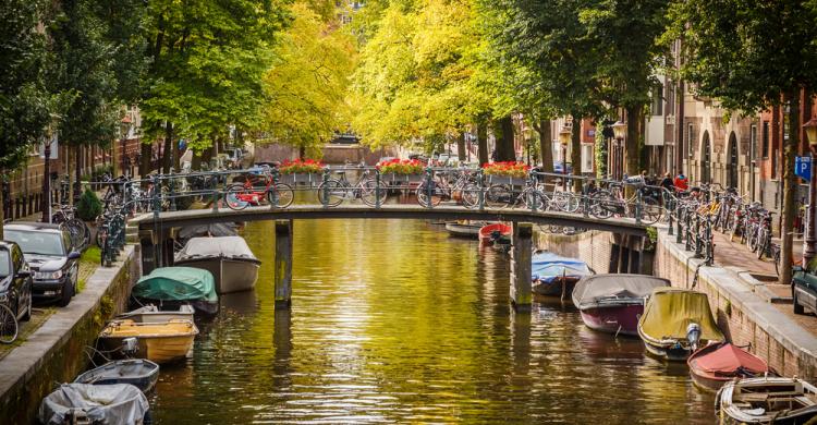 Canales de Amsterdam