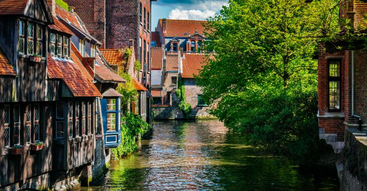 Canales de Brujas