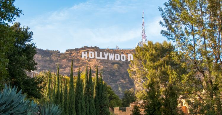 Cartel Hollywood