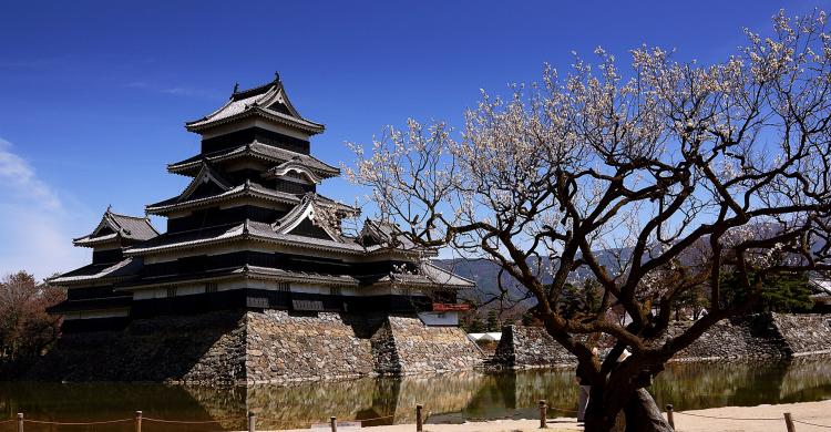 "Castillo del Cuervo" en Matsumoto