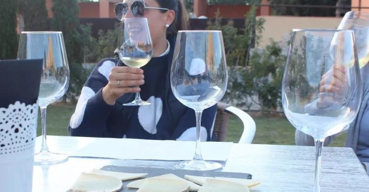 Cata de vinos y quesos de Mallorca, al aire libre