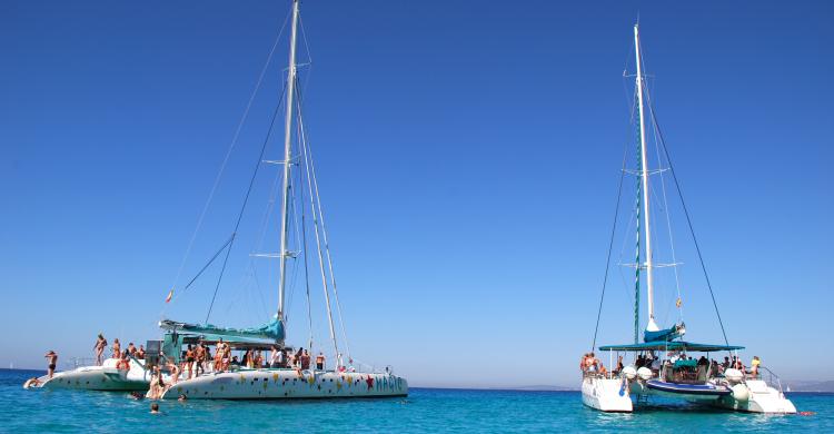 Catamarán a vela, recorriendo la Bahía de palma