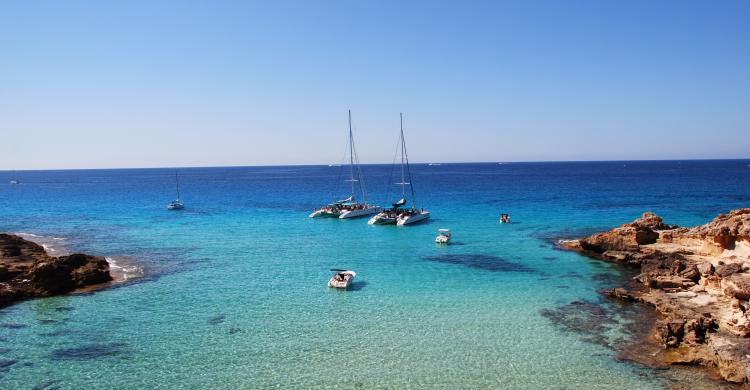 Catamarán por la Bahía de Mallorca