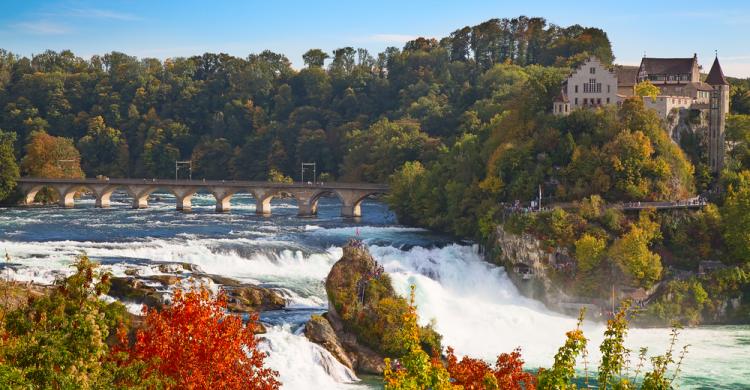 Cataratas del Rin y Castillo de Laufen