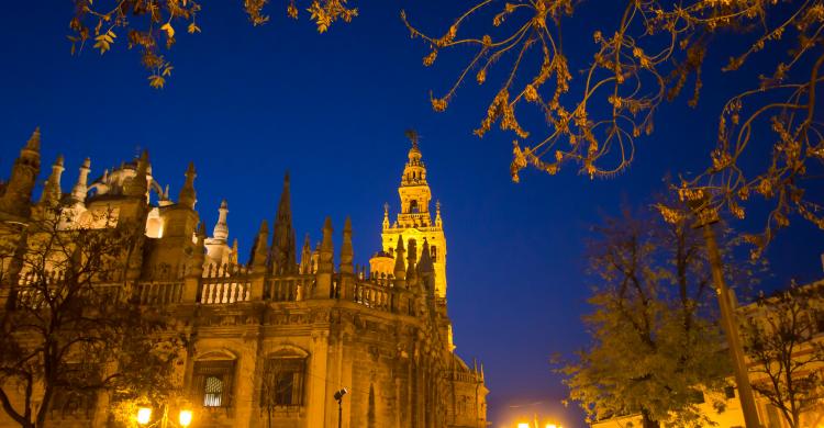 Catedral de Sevilla de noche