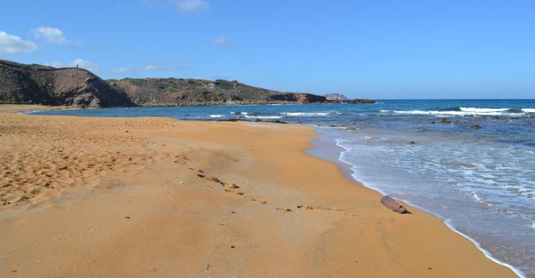 Playa de Cavallería